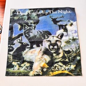 Vintage Smoky Bear “Please Don’t Light Up the Night Fabric Poster